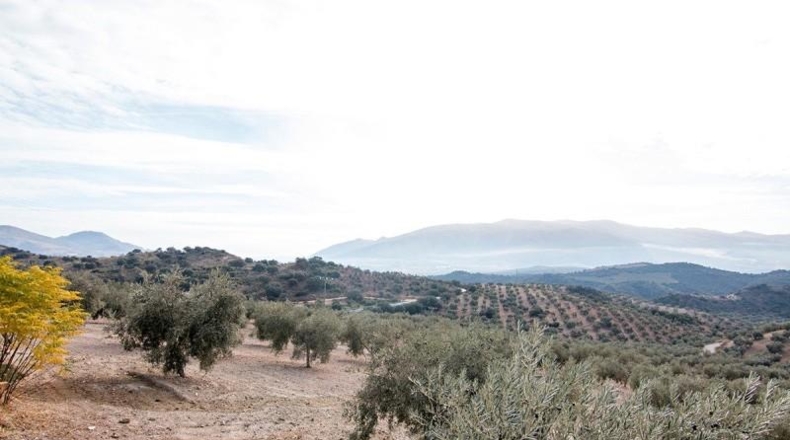 Comunidad de Madrid - Madrid - 460000m2
