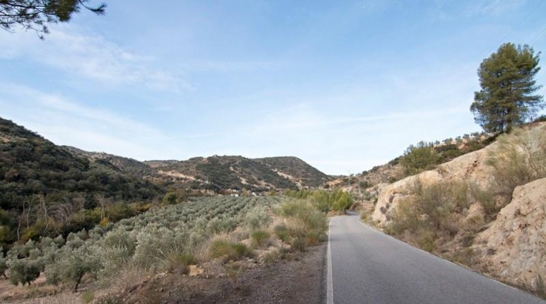 Comunidad de Madrid - Madrid - 460000m2