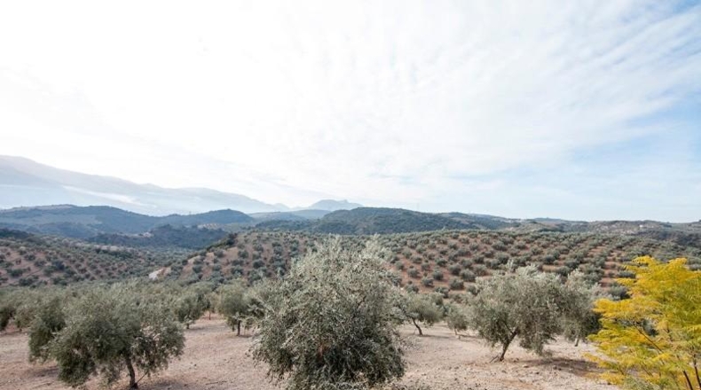 Comunidad de Madrid - Madrid - 460000m2