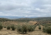 Chalet independiente con terreno en venta en la España, Loja, ref: TR398029 foto