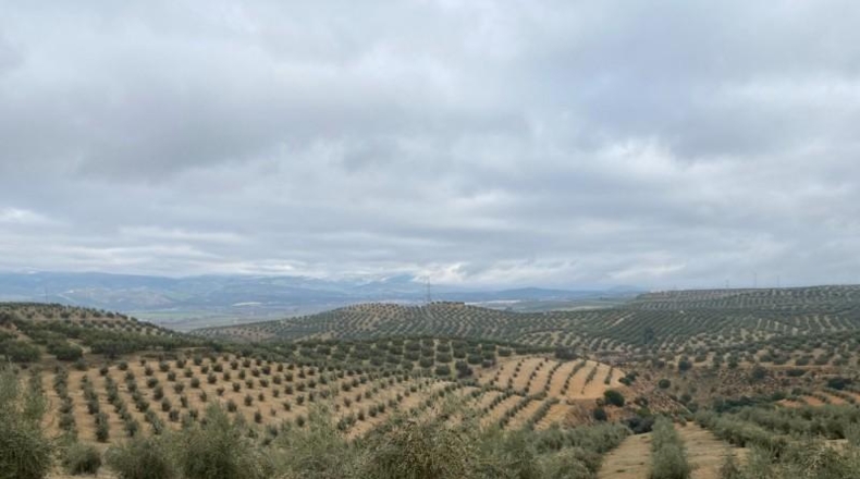 Málaga - Álora - 650000m2