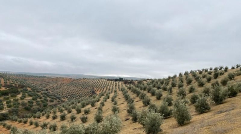 Málaga - Álora - 650000m2