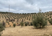 Chalet independiente con terreno en venta en la España, Loja, ref: TR398029 foto