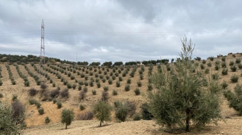 Málaga - Álora - 650000m2