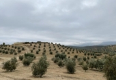 Chalet independiente con terreno en venta en la España, Loja, ref: TR398029 foto