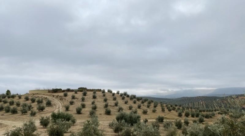Málaga - Álora - 650000m2