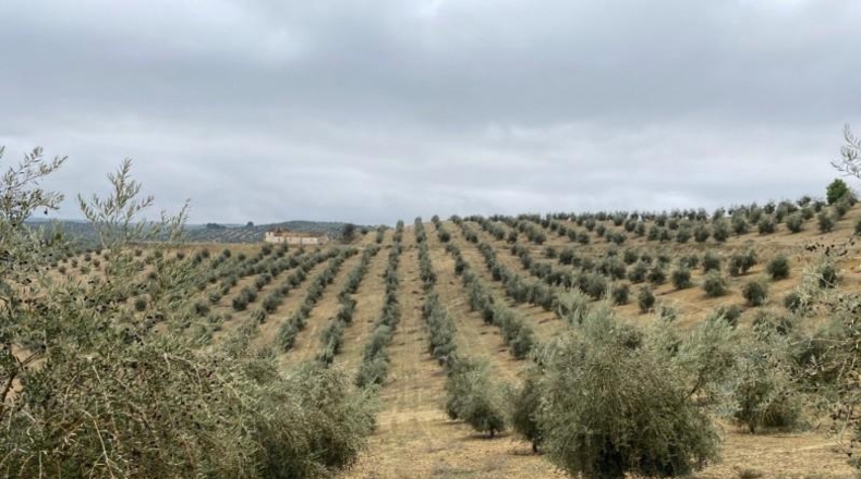 Málaga - Álora - 650000m2