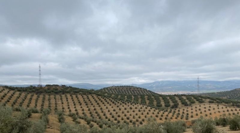 Málaga - Álora - 650000m2