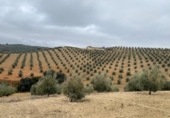 Chalet independiente con terreno en venta en la España, Loja, ref: TR398029 foto