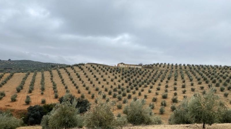 Málaga - Álora - 650000m2