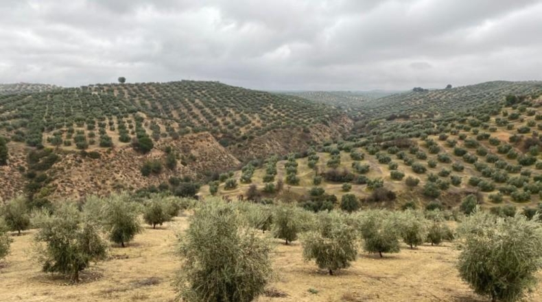 Málaga - Álora - 650000m2