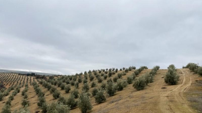 Málaga - Álora - 650000m2
