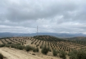 Chalet independiente con terreno en venta en la España, Loja, ref: TR398029 foto