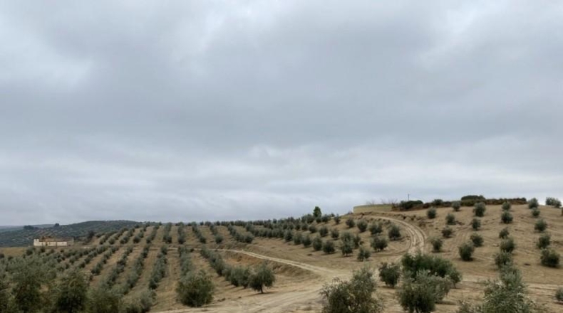 Málaga - Álora - 650000m2