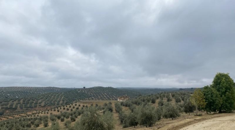Málaga - Álora - 650000m2