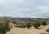 Chalet independiente con terreno en venta en la España, Loja, ref: TR398029 foto