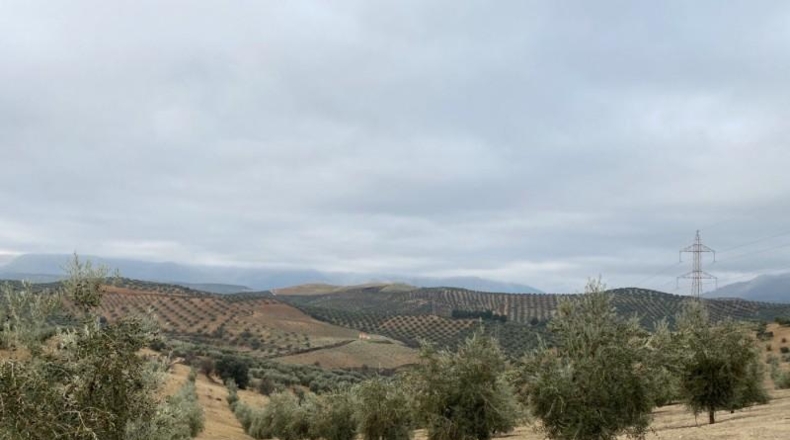 Málaga - Álora - 650000m2
