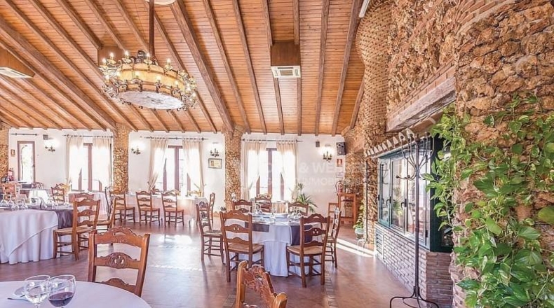 Málaga - Periana - 23000m2