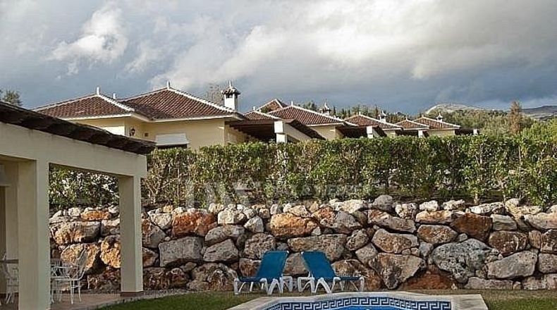Málaga - Periana - 23000m2