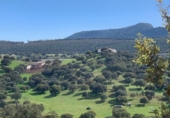 Xalet independent amb terreny en venda a la España, Garbayuela, ref.: TR398343 foto