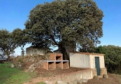 Xalet independent amb terreny en venda a la España, Garbayuela, ref.: TR398343 foto