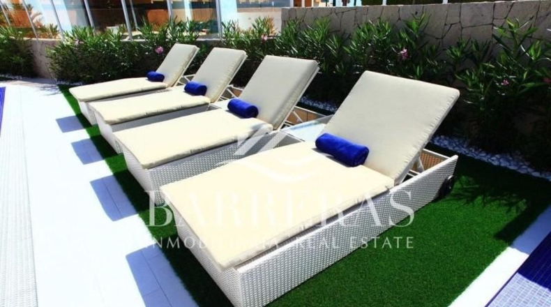 Málaga - Málaga - 512m2