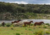 Xalet independent amb terreny en venda a la España, Baracaldo, ref.: TR399820 foto