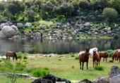 Xalet independent amb terreny en venda a la España, Baracaldo, ref.: TR399820 foto