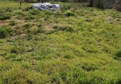 Suelo urbano en venta en Mondariz ref: TR386800 foto