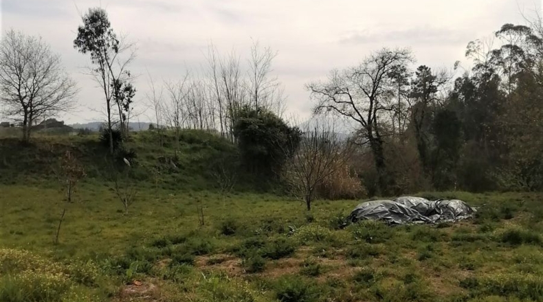 Pontevedra - Мондариф - 1268m2