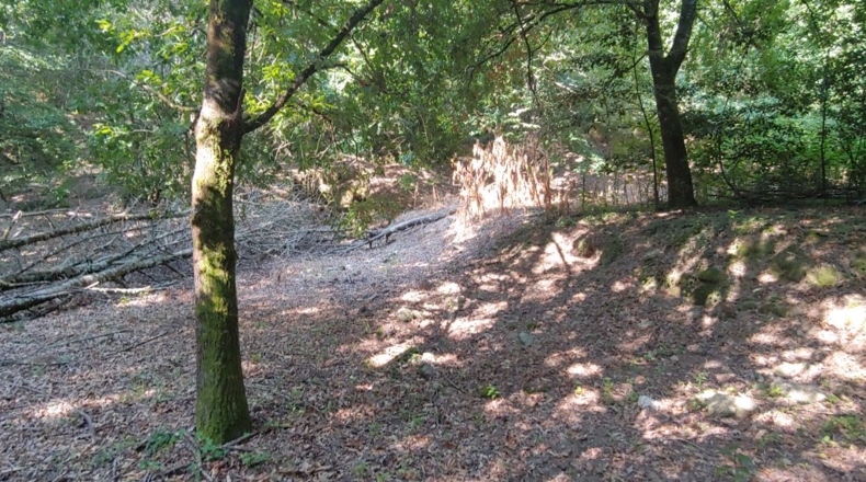 Pontevedra - Crecente - 1722m2