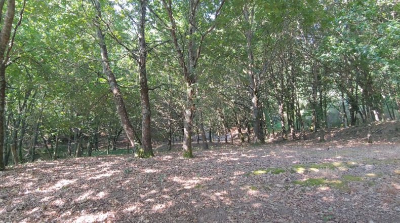 Pontevedra - Crecente - 1722m2