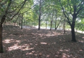 Terreno no urbanizable en venta en Crecente ref: TR385666 foto