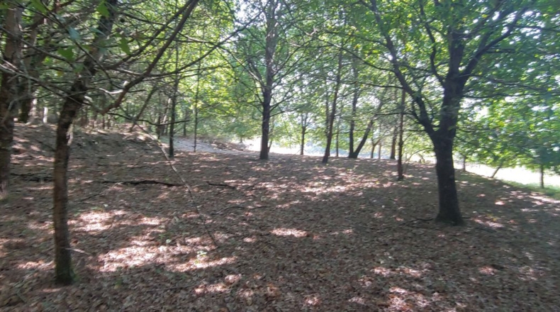 Pontevedra - Crecente - 1722m2