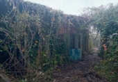 Village house for sale in Mondariz ref: TR393915 photo