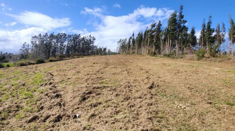 La Coruña - Santiago de Compostel·la - 10000m2