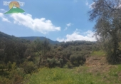 Finca rústica en venda a Pinos del Valle ref.: TR393914 foto