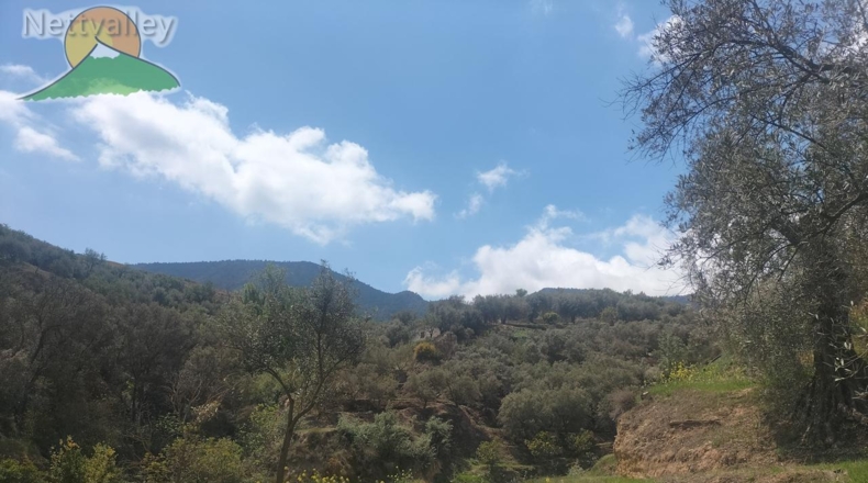 Community of Madrid - Serranillos del Valle - 5000m2