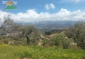 Finca rústica en venda a Pinos del Valle ref.: TR393914 foto