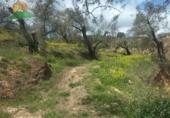 Finca rústica en venda a Pinos del Valle ref.: TR393914 foto