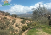 Finca rústica en venda a Pinos del Valle ref.: TR393914 foto