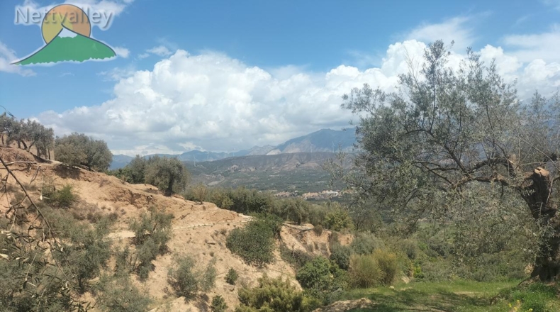 Community of Madrid - Serranillos del Valle - 5000m2