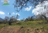 Finca rústica en venda a Pinos del Valle ref.: TR393914 foto