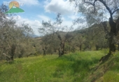 Finca rústica en venda a Pinos del Valle ref.: TR393914 foto