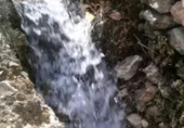 Земельный участок на продажу в городе Pinos del Valle Фото