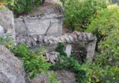 Земельный участок на продажу в городе Pinos del Valle Фото