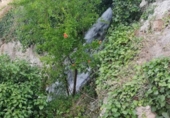 Земельный участок на продажу в городе Pinos del Valle Фото