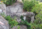 Земельный участок на продажу в городе Pinos del Valle Фото