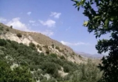Земельный участок на продажу в городе Pinos del Valle Фото