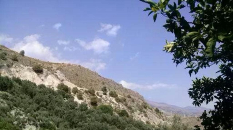 Granada - Pinos del Valle - 5000m2